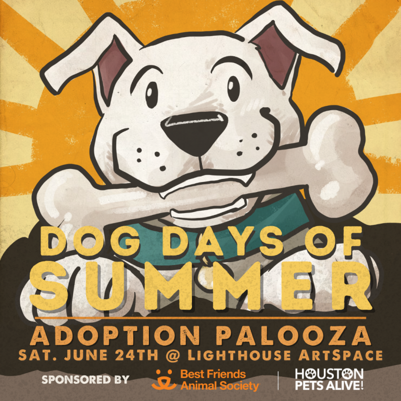 Dog Days Of Summer Adoption Palooza | The Buzz Magazines